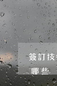 簽訂技術(shù)合同需要注意的問題有哪些？